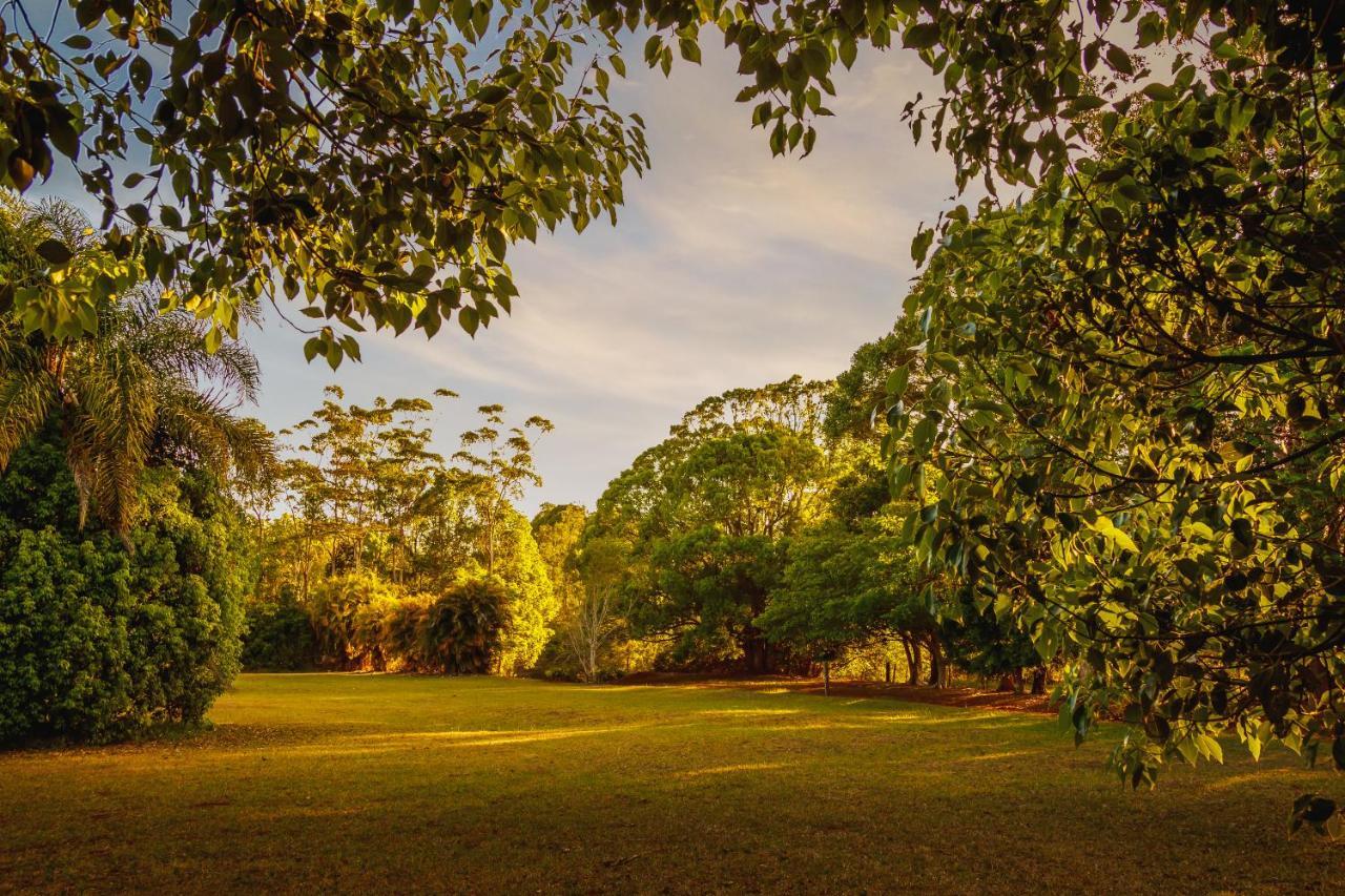 Malanda Lodge Eksteriør billede